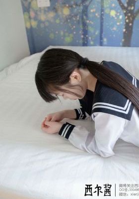 儿女英雄传